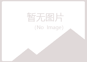 白银平川迷茫造纸有限公司